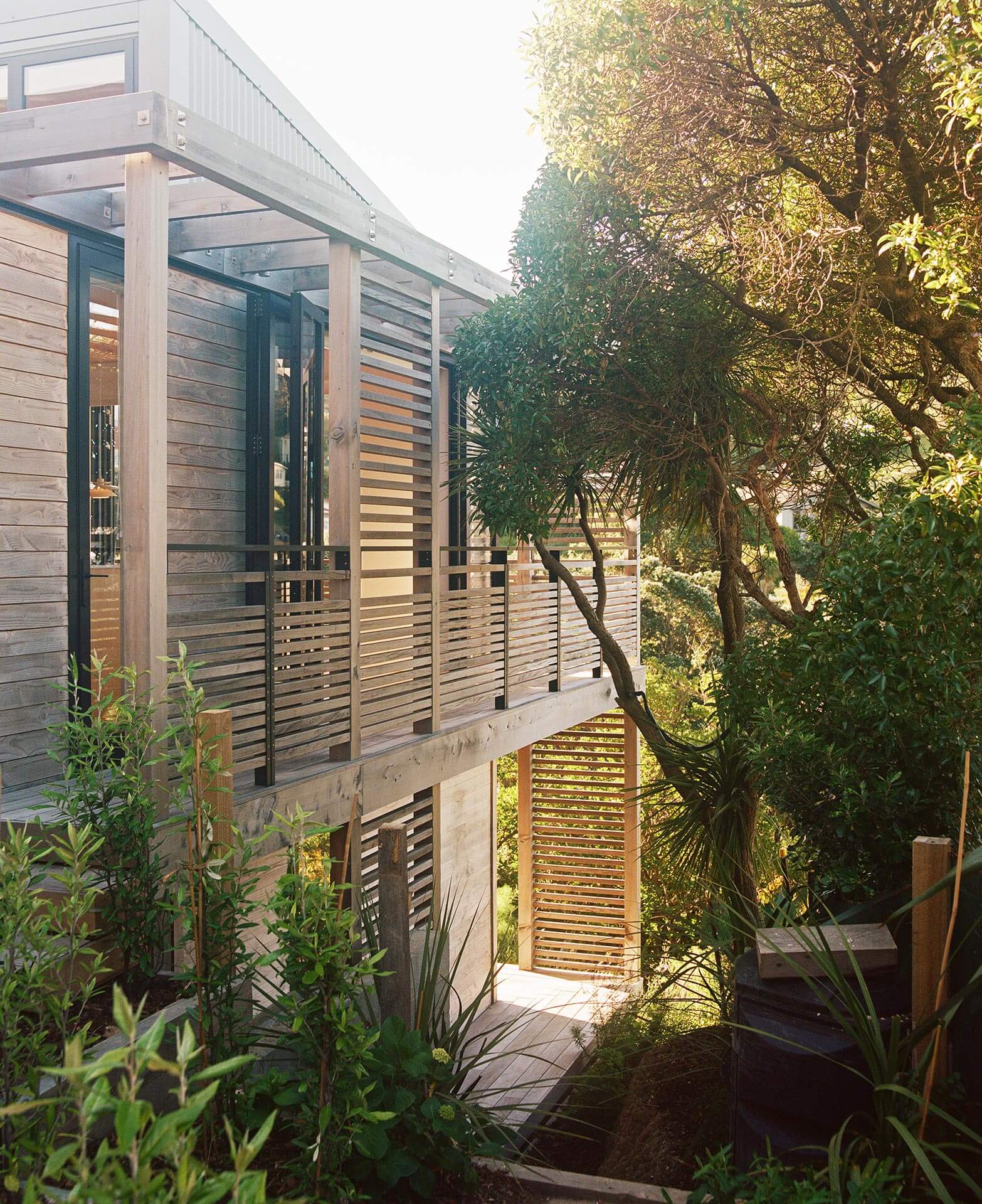 06_Beach_Forest_House_Makers-of-Architecture
