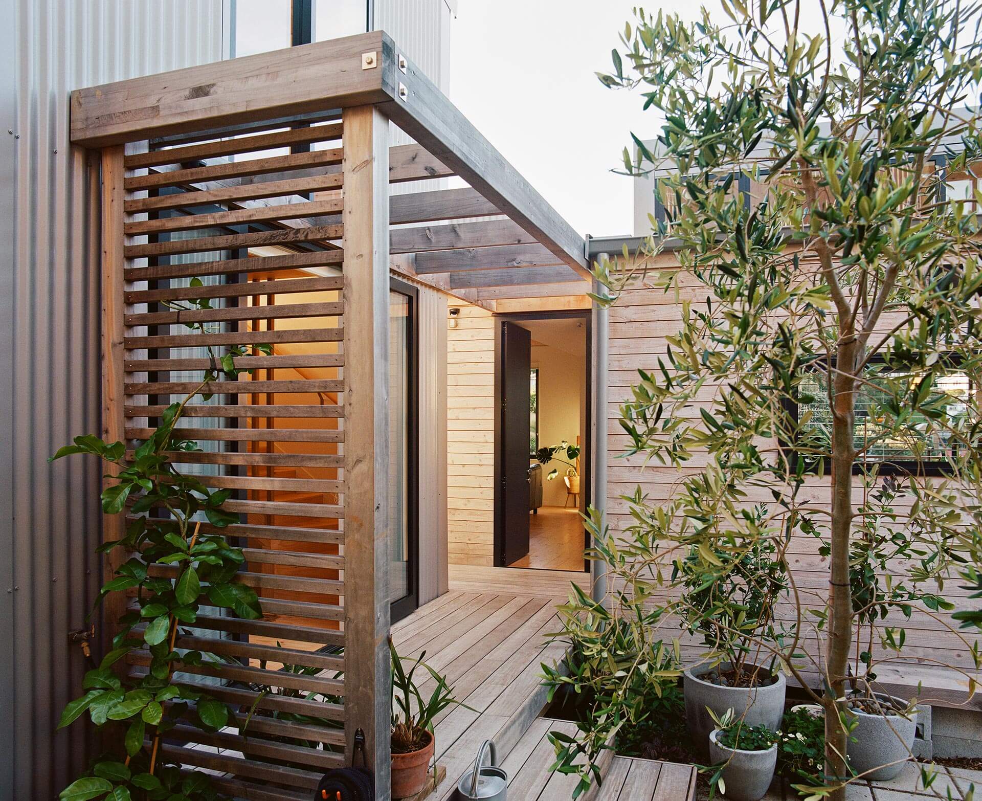 07_Beach_Forest_House_Makers-of-Architecture